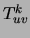 $T^k_{uv}$