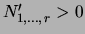 $N'_{1,\ldots,  r}>0$