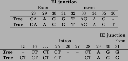 \begin{figure}
\begin{center}
\begin{tabular}{ l ccc\vert cccccc }
\multicol...
...bf G} \\
\hline
\end{tabular}
\end{center}
\par\vspace{1em}
\end{figure}