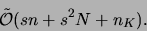 \begin{displaymath}
\tilde{{\cal O}}( sn + s^2N + n_K).
\end{displaymath}