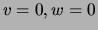 $v=0, w=0$